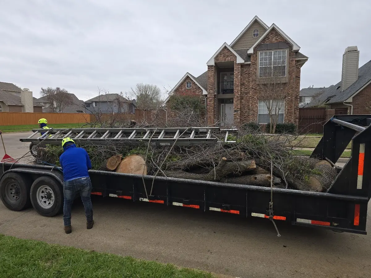 Expert Tree Fertilization with proper safety equipment in Markham